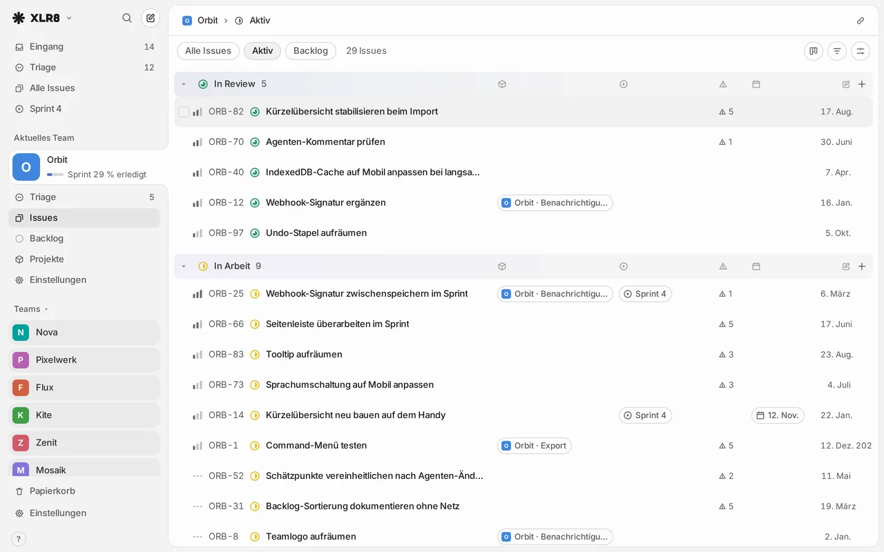 XLR8 issue list grouped by status, with the team sidebar on the left. Sample data.